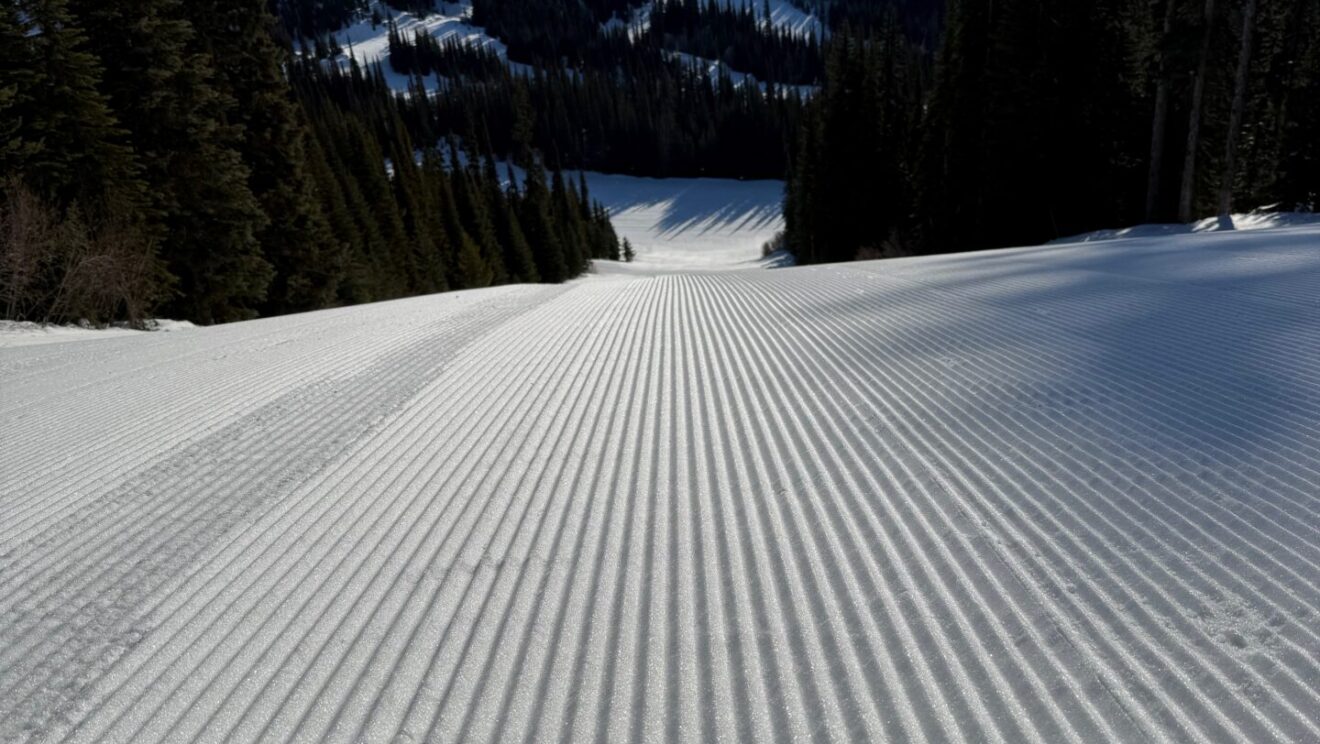 WHAT’S NEW IN BC/YUKON?