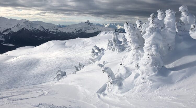 WHAT’S NEW IN BC/YUKON?